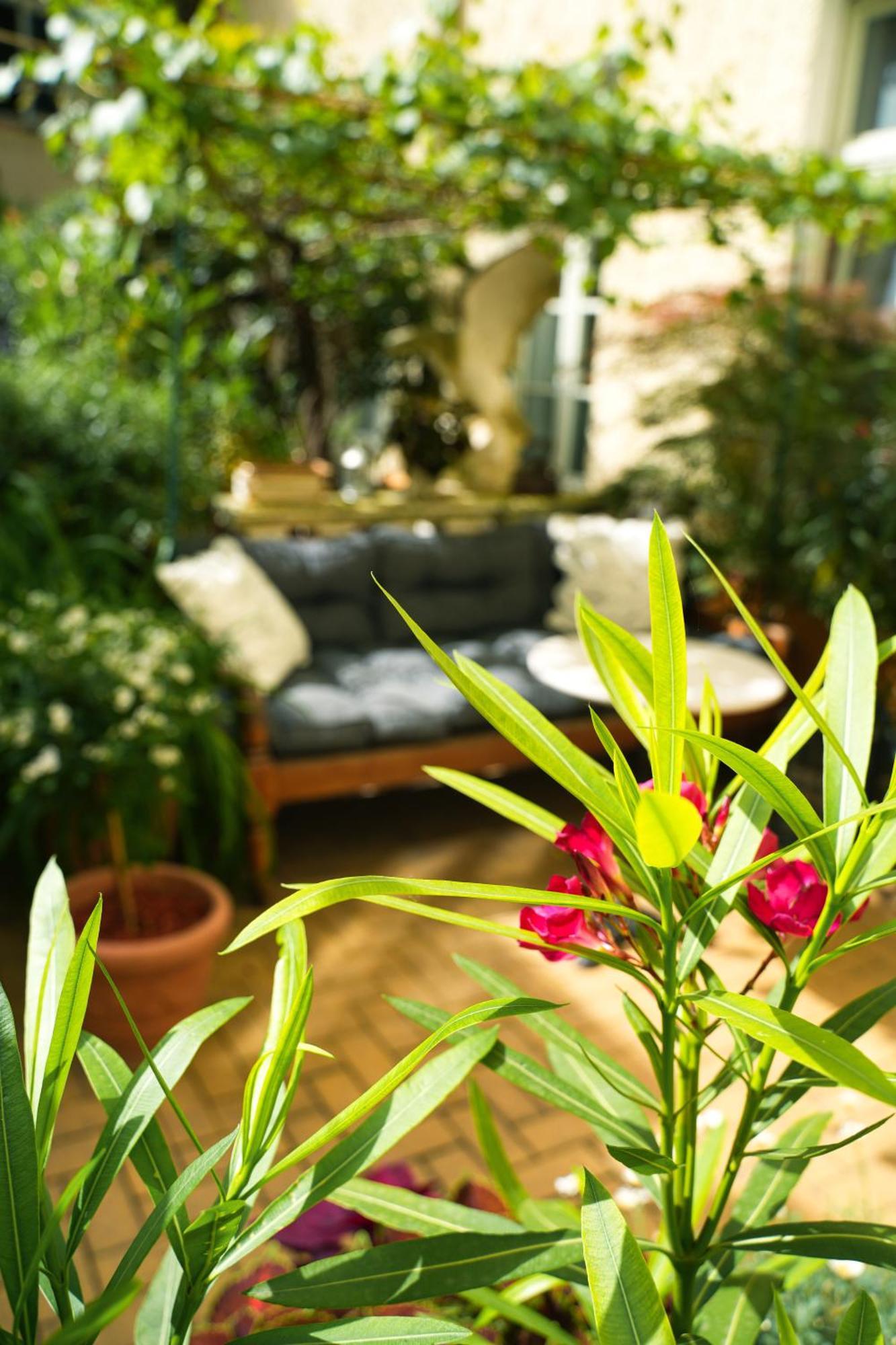 Honigmond Boutique Hotel Berlin Eksteriør billede